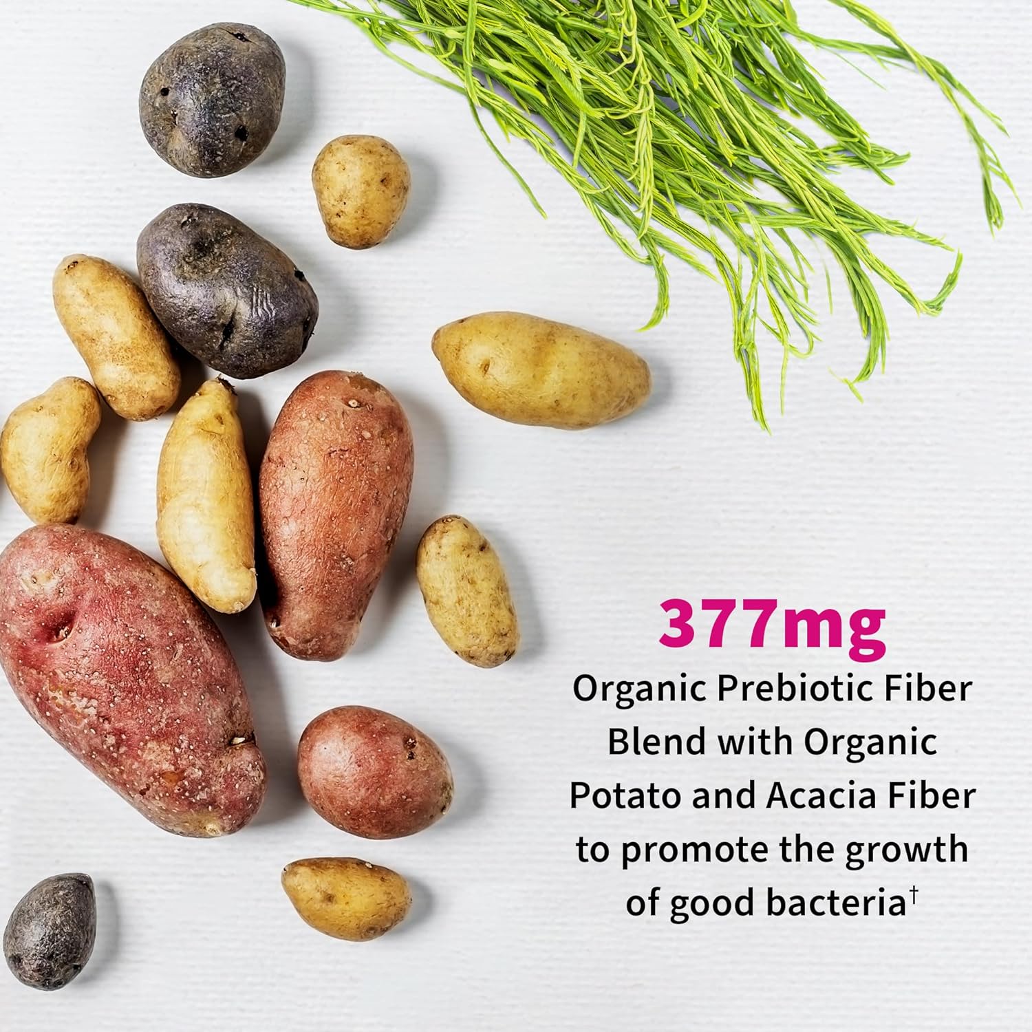 Protein Powder Comparison: Garden of Life vs BIRDMAN