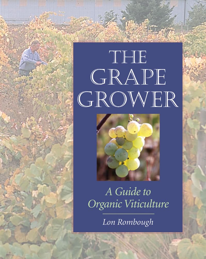 Exploring Grapes: Guides, Cures, and Fresh Produce Compared